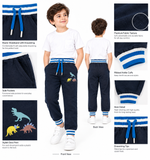 Boys’ Navy Blue Casual Trousers
