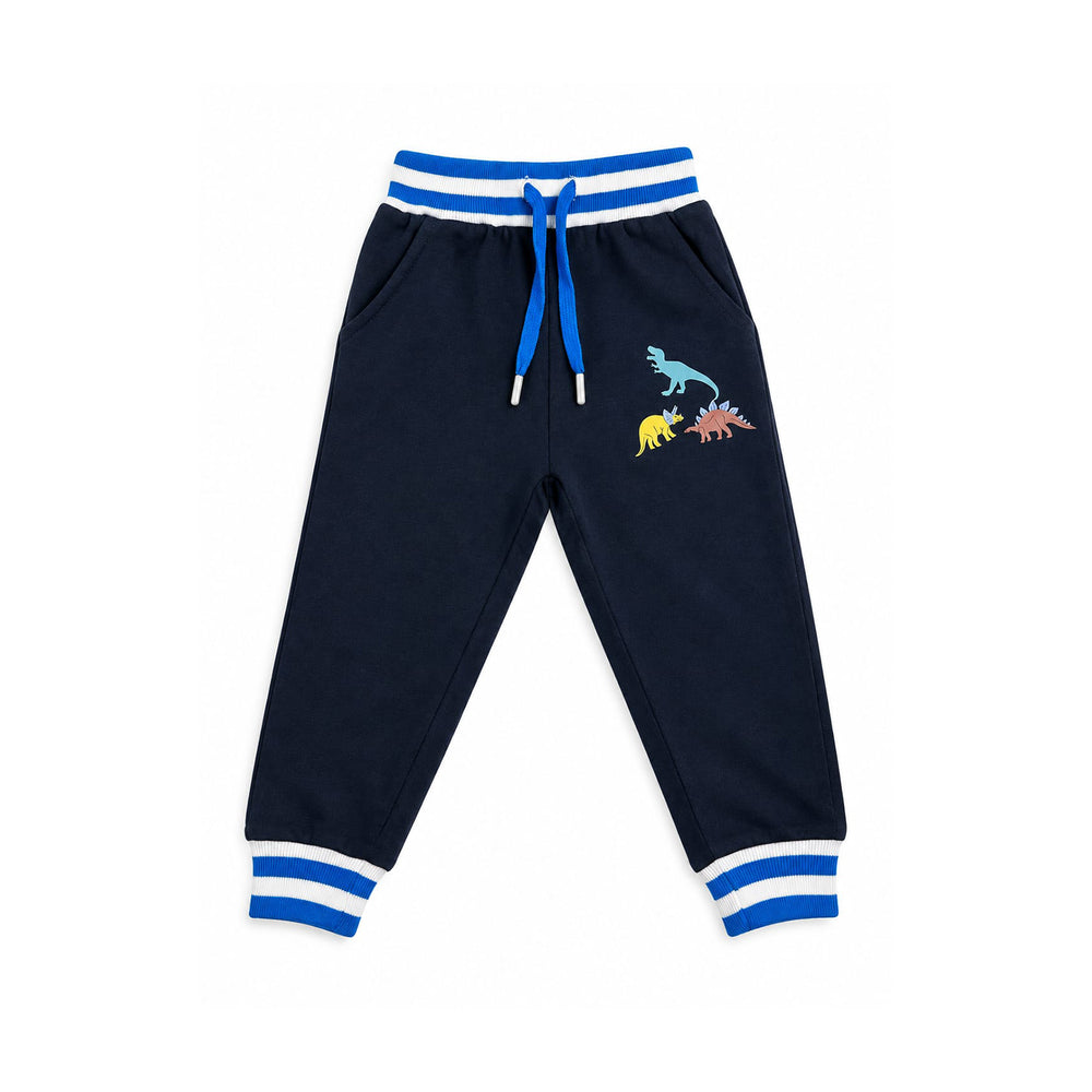 Boys’ Navy Blue Casual Trousers