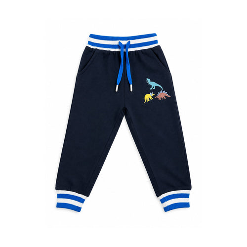 Boys’ Navy Blue Casual Trousers